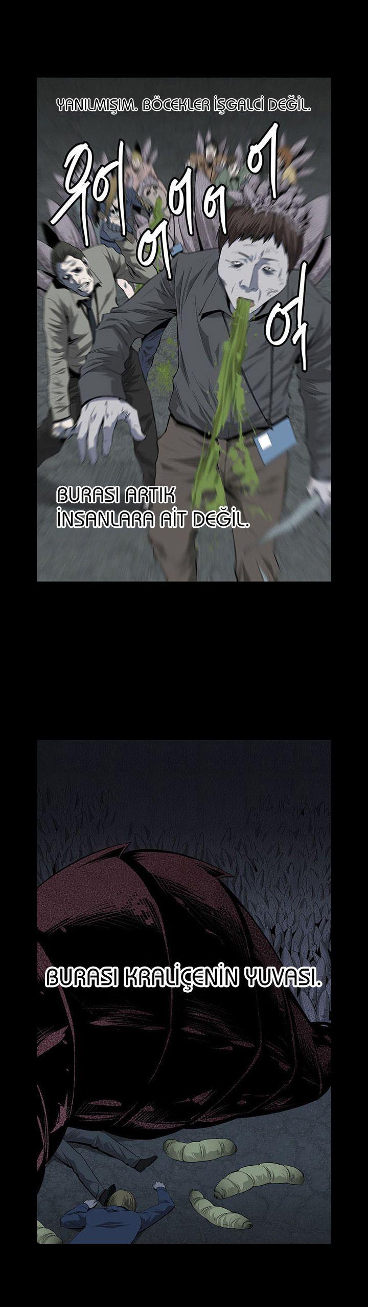 6-cmnq2268807i4ucwa0pciz3a1