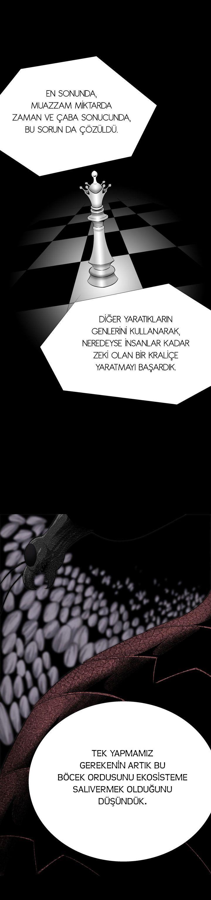 27-cmnq2268807i4ucwa0pciz3a1