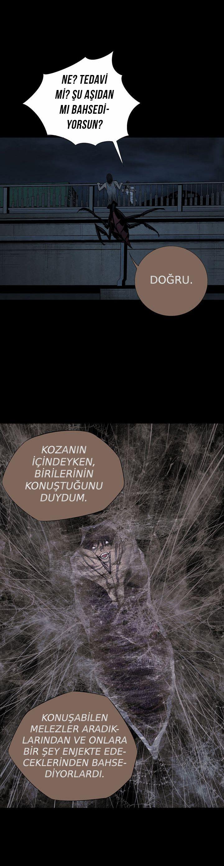 23-cmnq2268807i4ucwa0pciz3a1