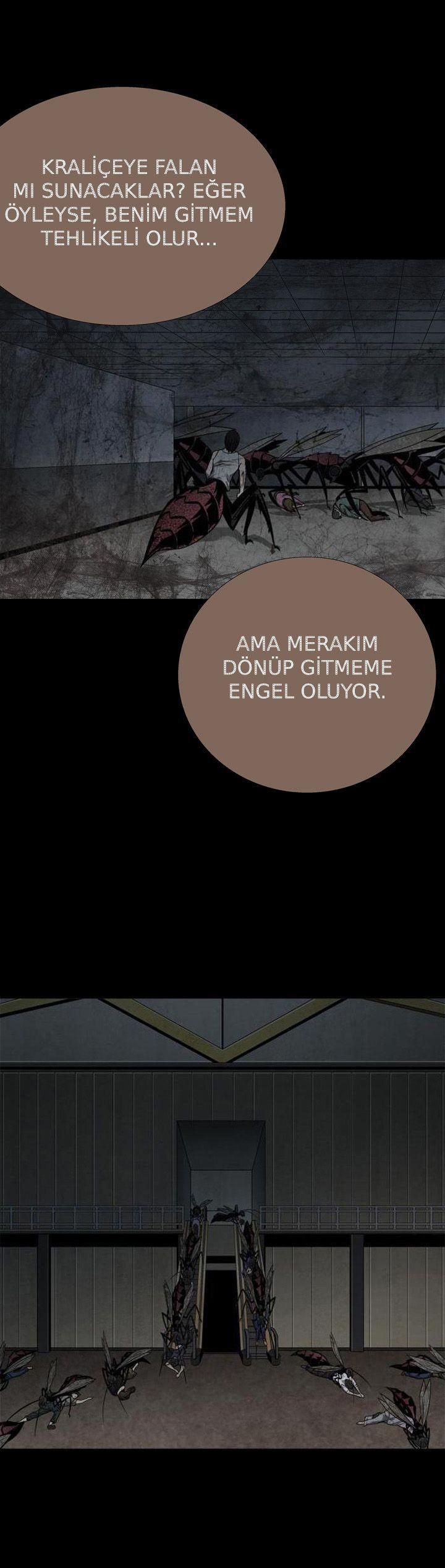 35-cmnq2268807i4ucwa0pciz3a1