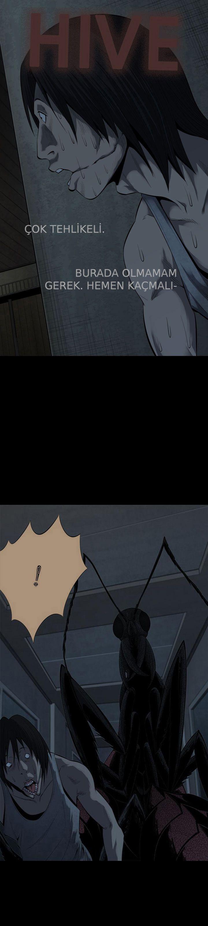 2-cmnq2268807i4ucwa0pciz3a1