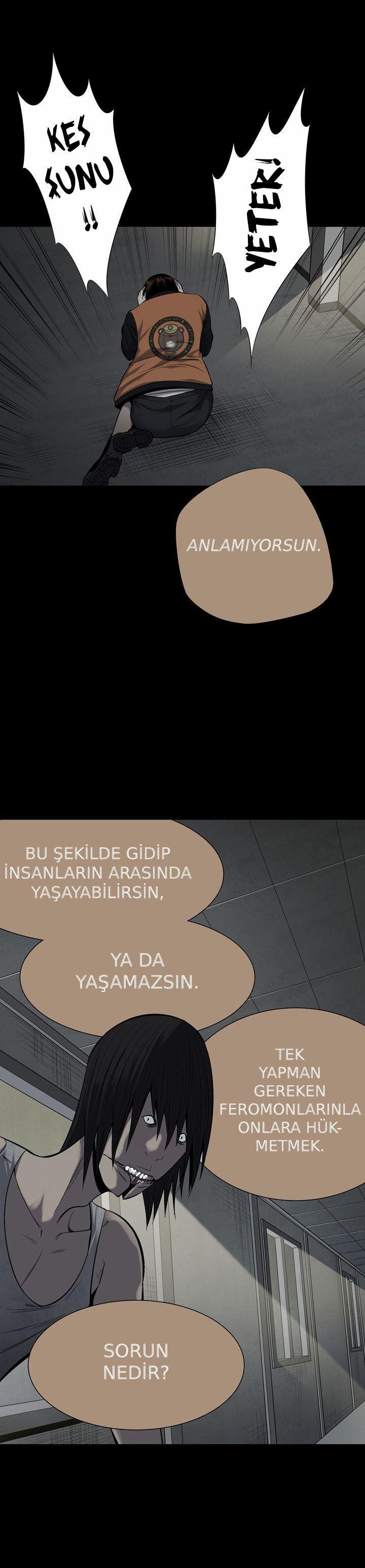 25-cmnq2268807i4ucwa0pciz3a1