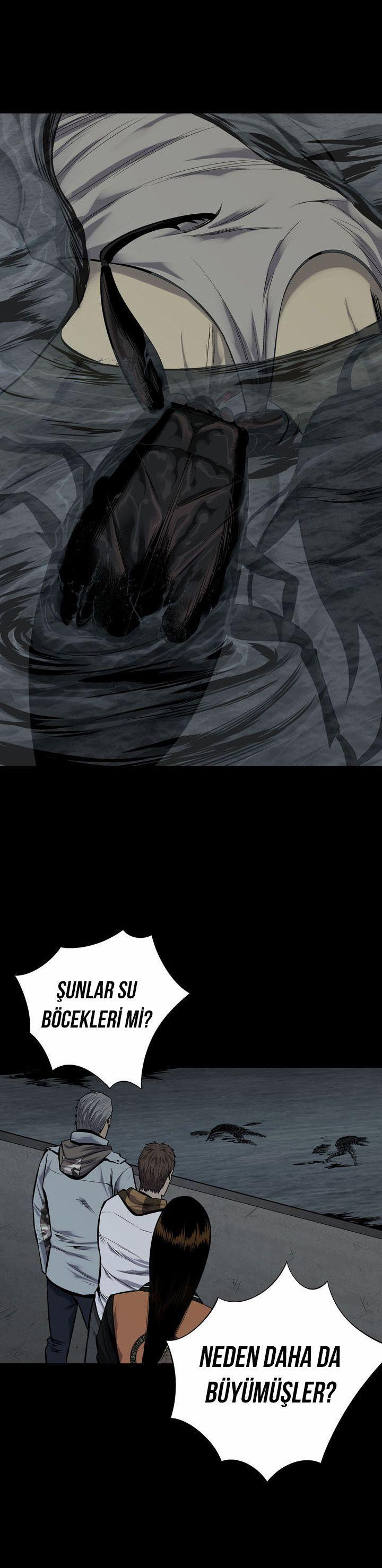 20-cmnq2268807i4ucwa0pciz3a1