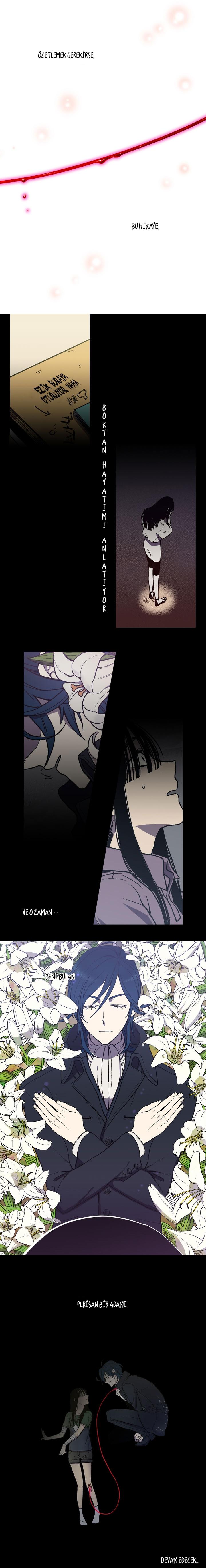 2-cm2xdfr0s0001tt82570od8ls
