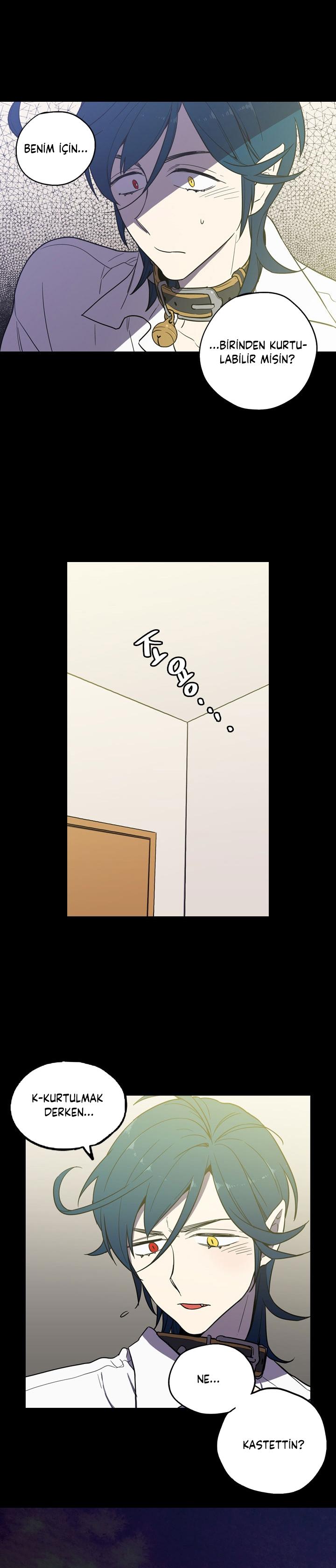 3-cm2xdfr0s0001tt82570od8ls