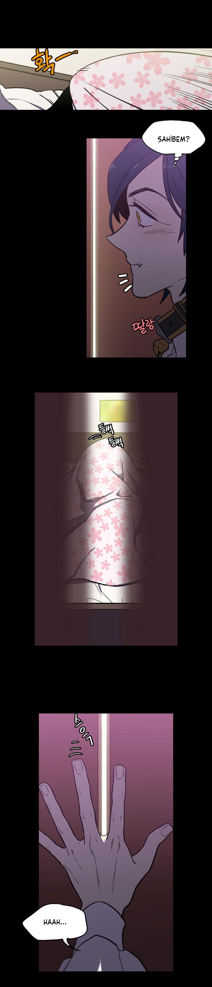 19-cm2xdfr0s0001tt82570od8ls