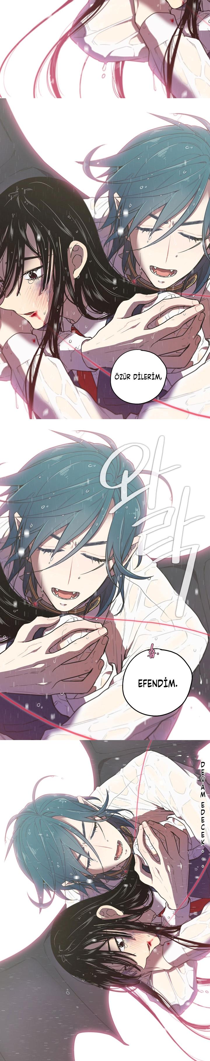 14-cm2xdfr0s0001tt82570od8ls