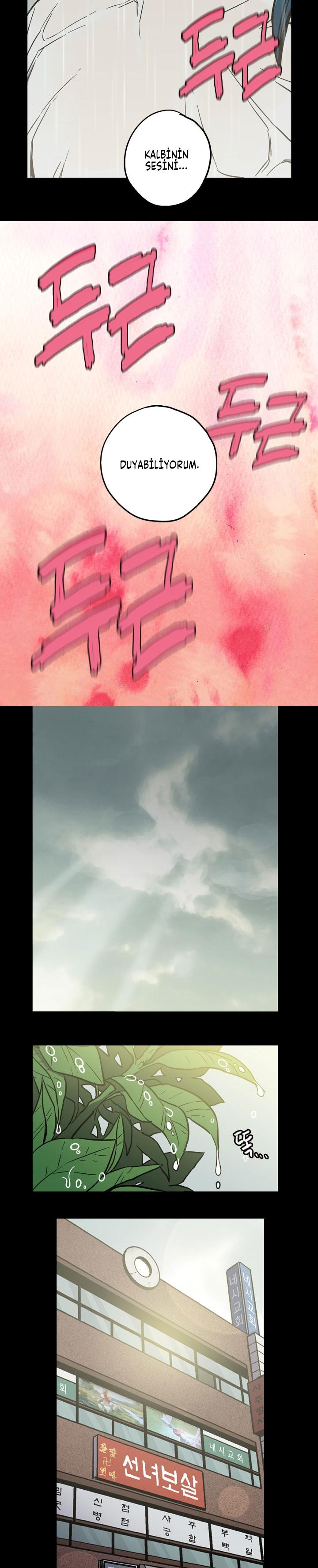 13-cm2xdfr0s0001tt82570od8ls