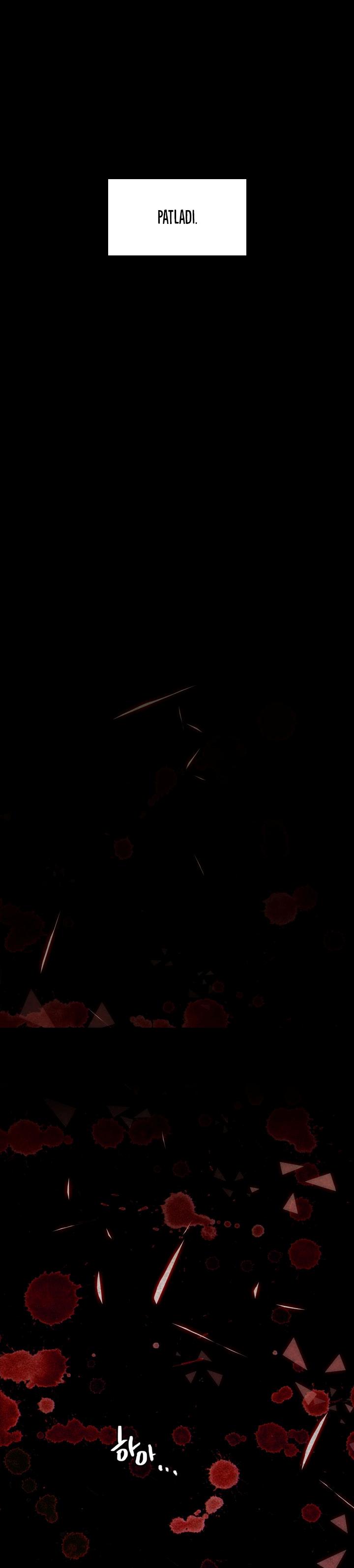 12-cm2xdfr0s0001tt82570od8ls