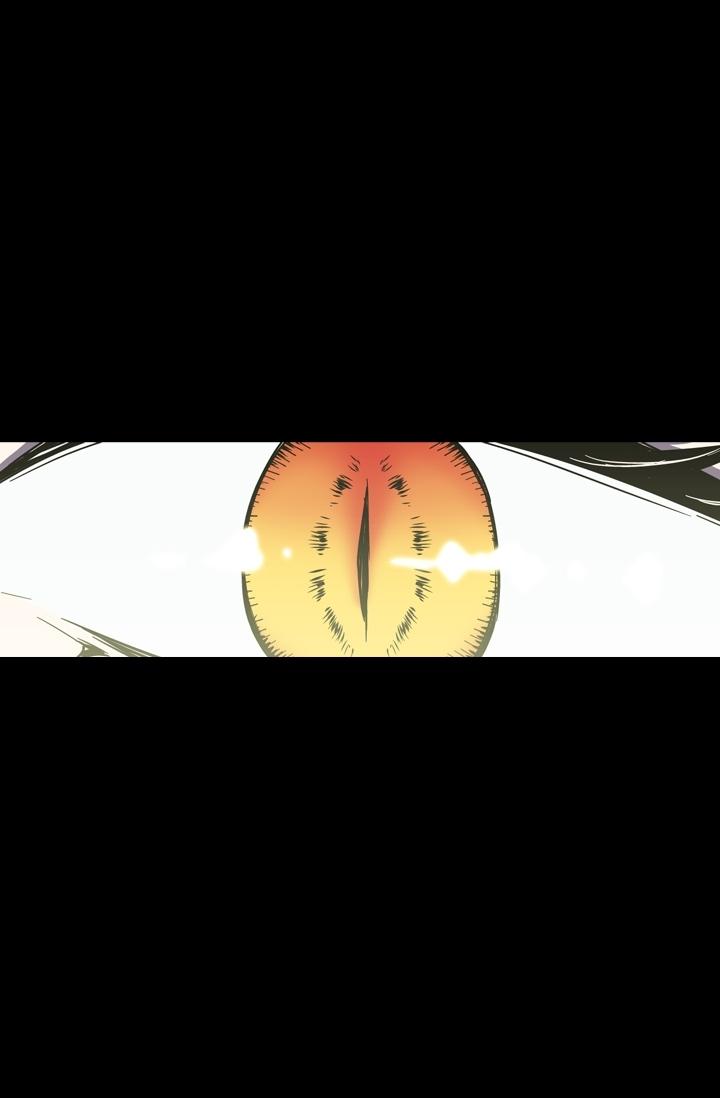 41-cm2xdfr0s0001tt82570od8ls