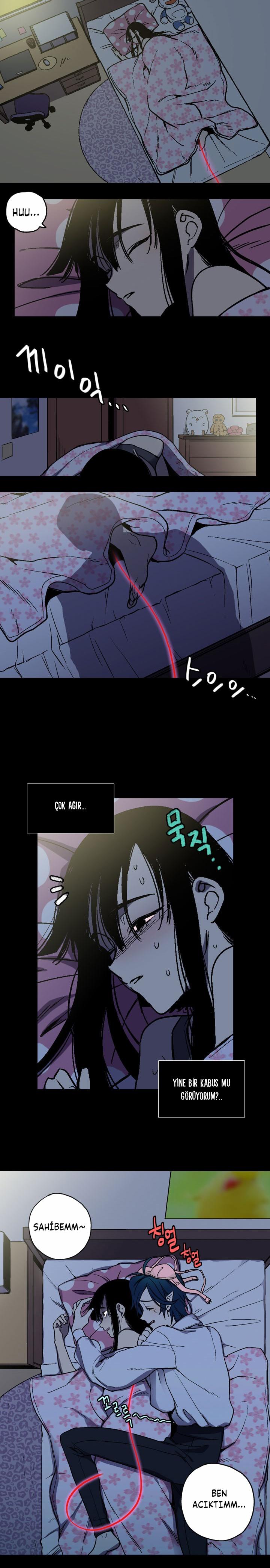 6-cm2xdfr0s0001tt82570od8ls