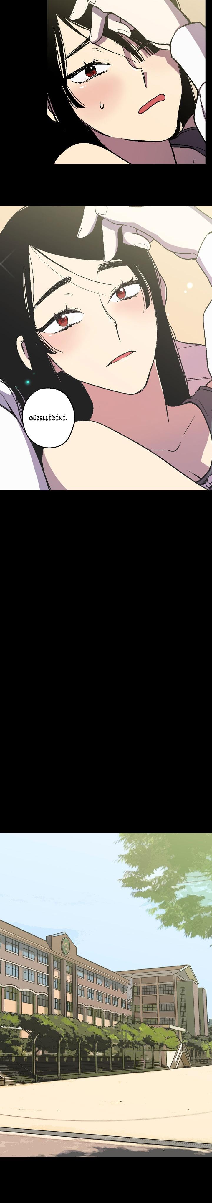 11-cm2xdfr0s0001tt82570od8ls