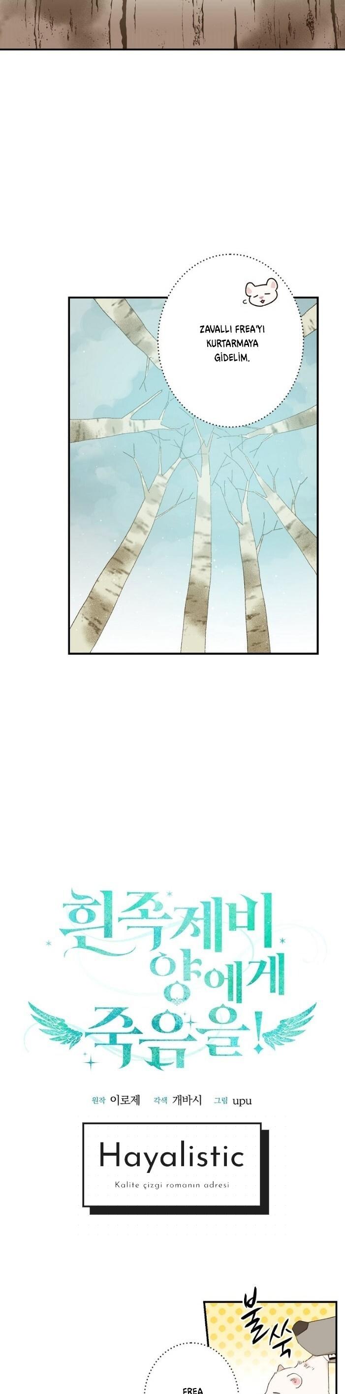 14-cm2xdfr0s0001tt82570od8ls
