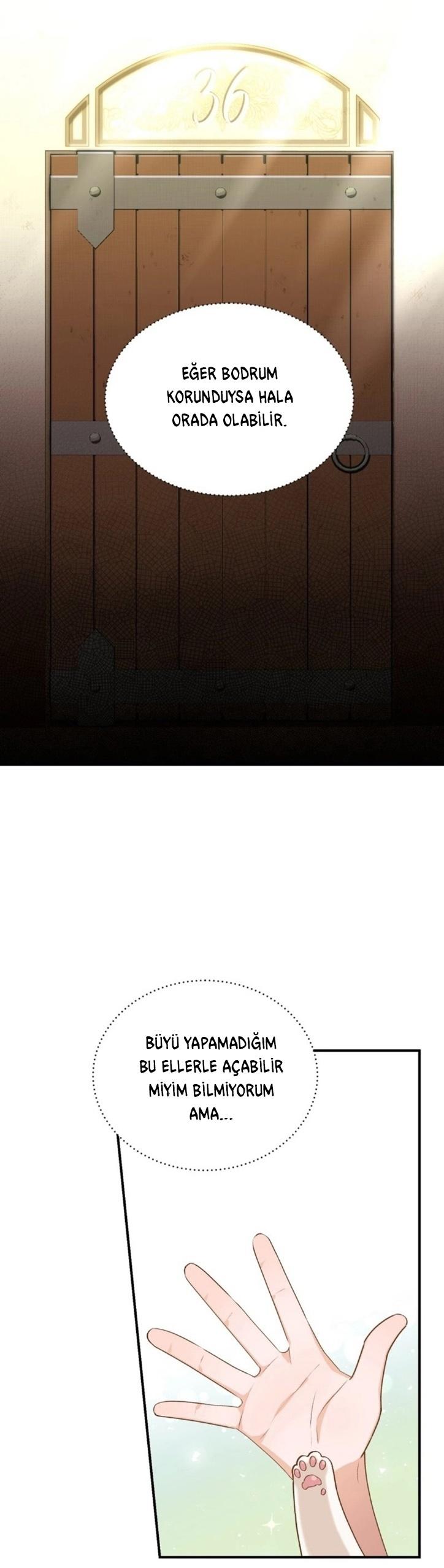 2-cm2xdfr0s0001tt82570od8ls
