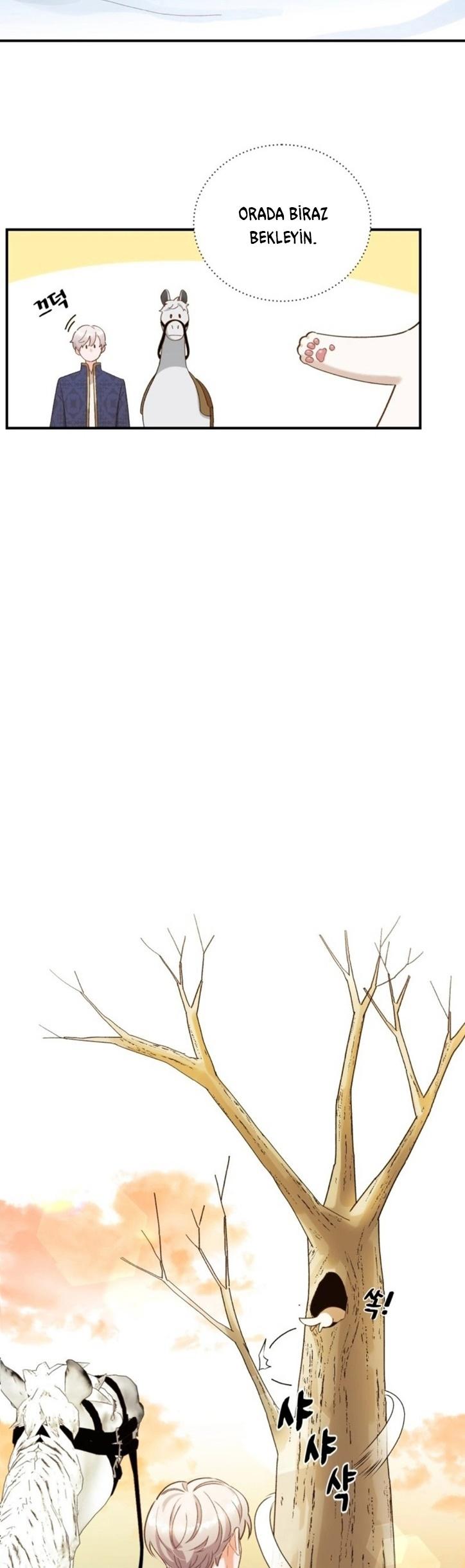 24-cm2xdfr0s0001tt82570od8ls
