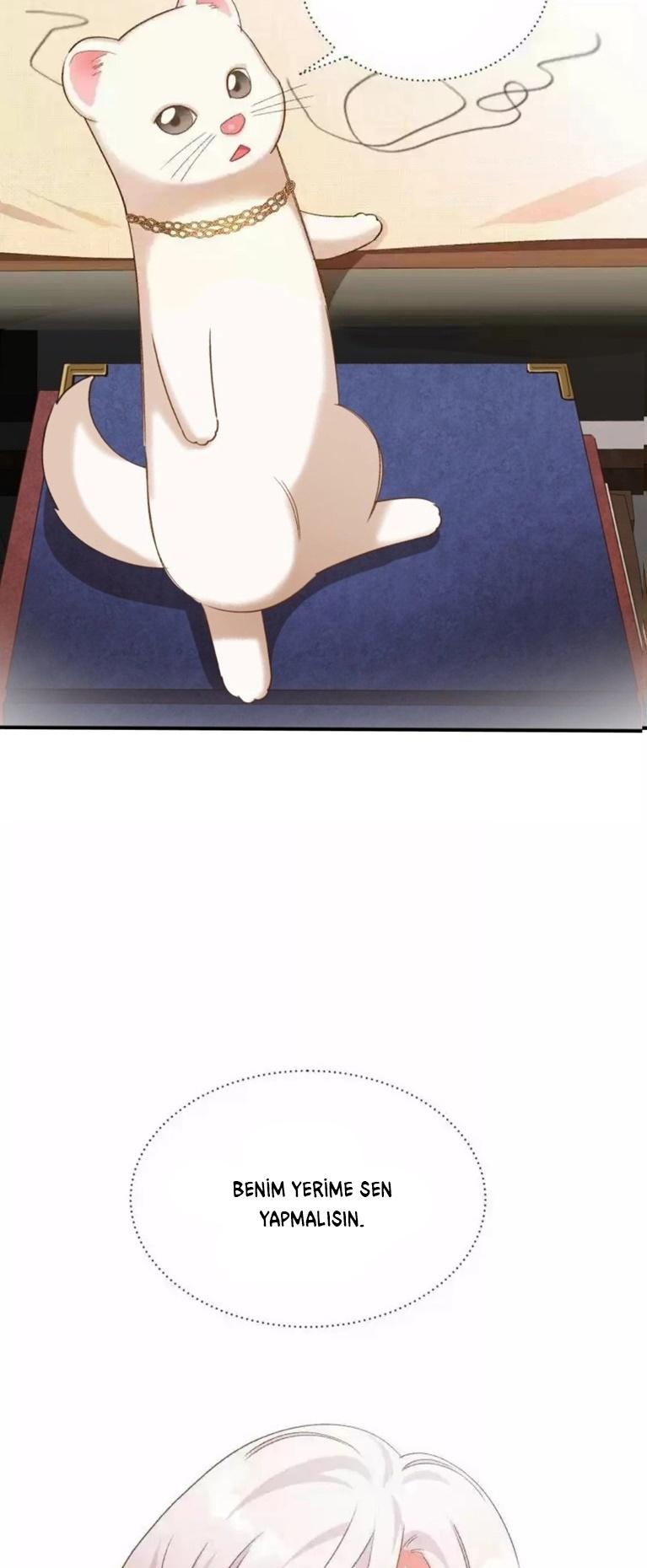 3-cm2xdfr0s0001tt82570od8ls