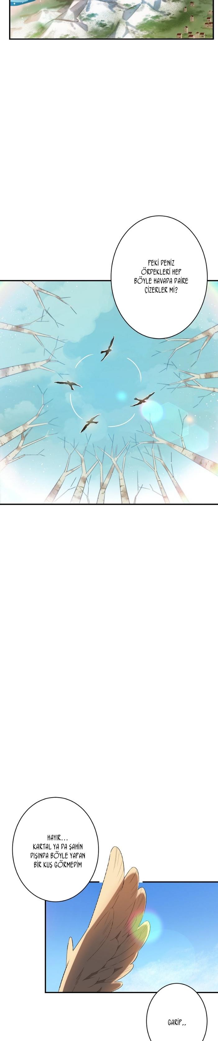 23-cm2xdfr0s0001tt82570od8ls