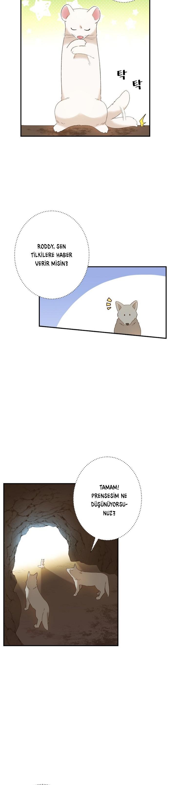 3-cm2xdfr0s0001tt82570od8ls