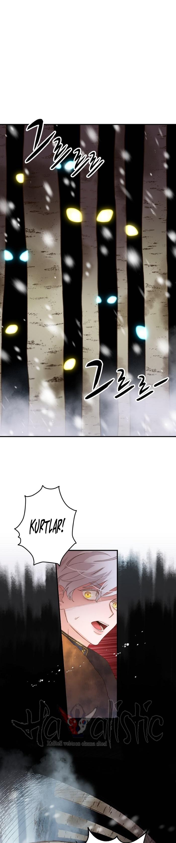 30-cm2xdfr0s0001tt82570od8ls
