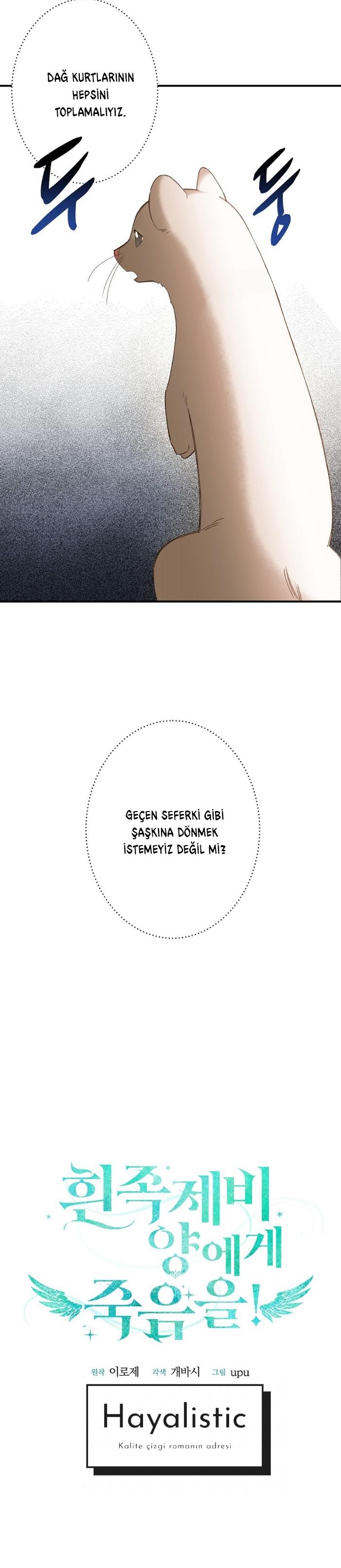 4-cm2xdfr0s0001tt82570od8ls