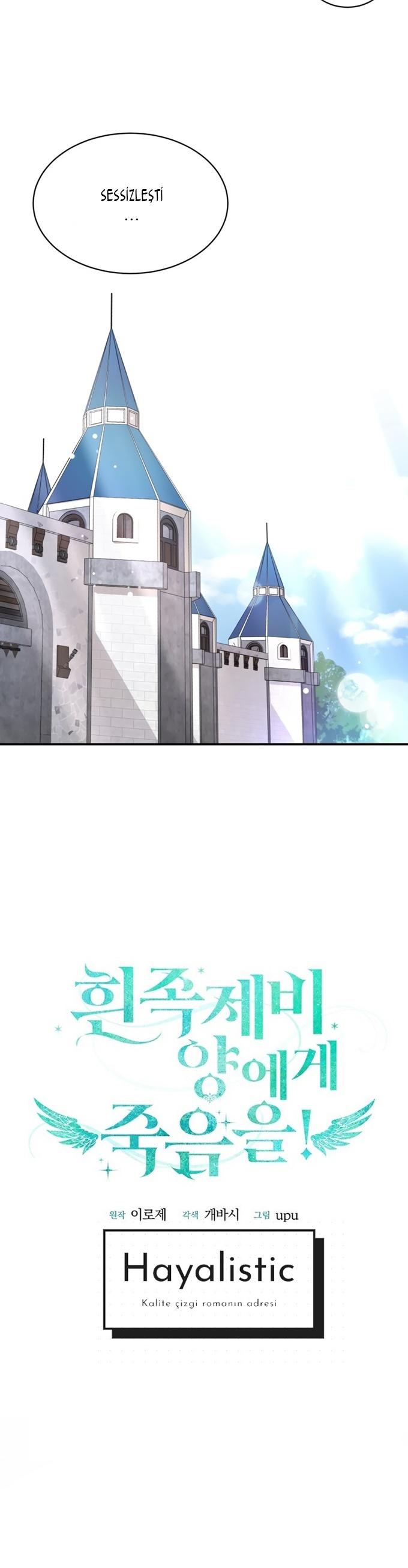 6-cm2xdfr0s0001tt82570od8ls