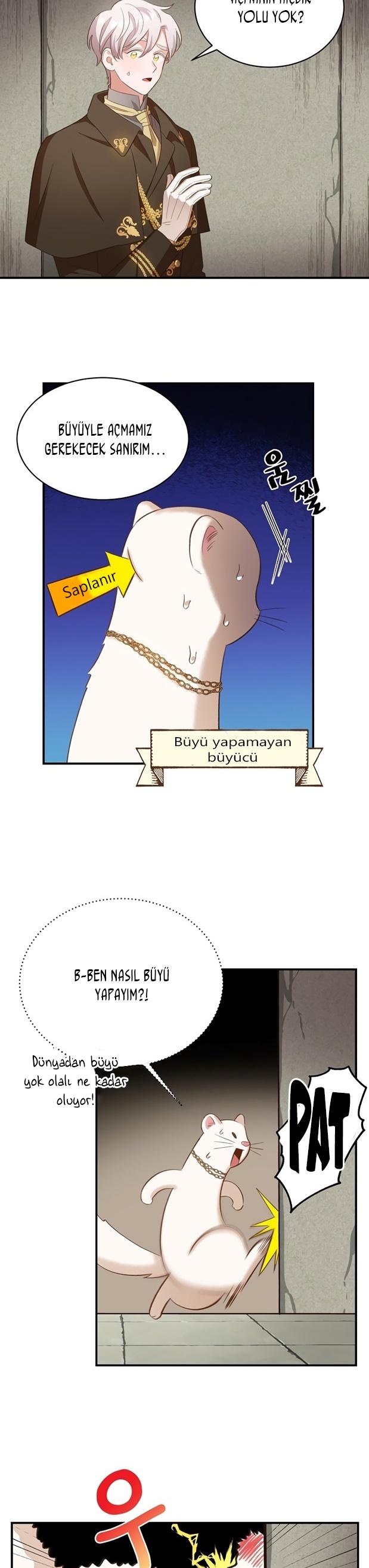 4-cm2xdfr0s0001tt82570od8ls