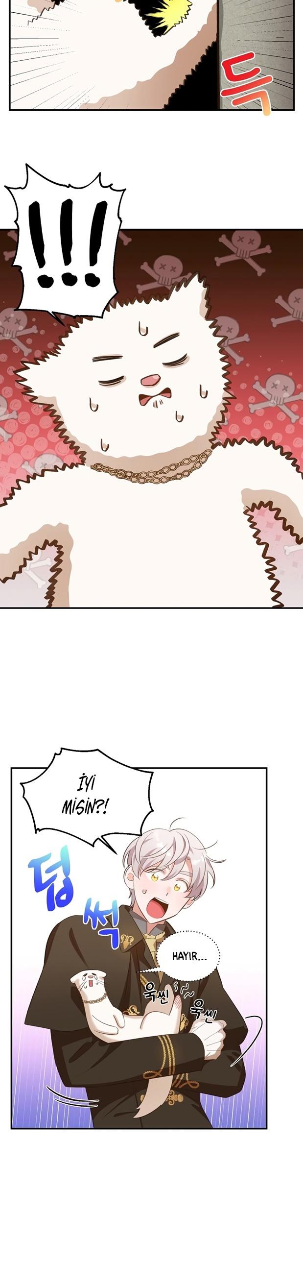 5-cm2xdfr0s0001tt82570od8ls