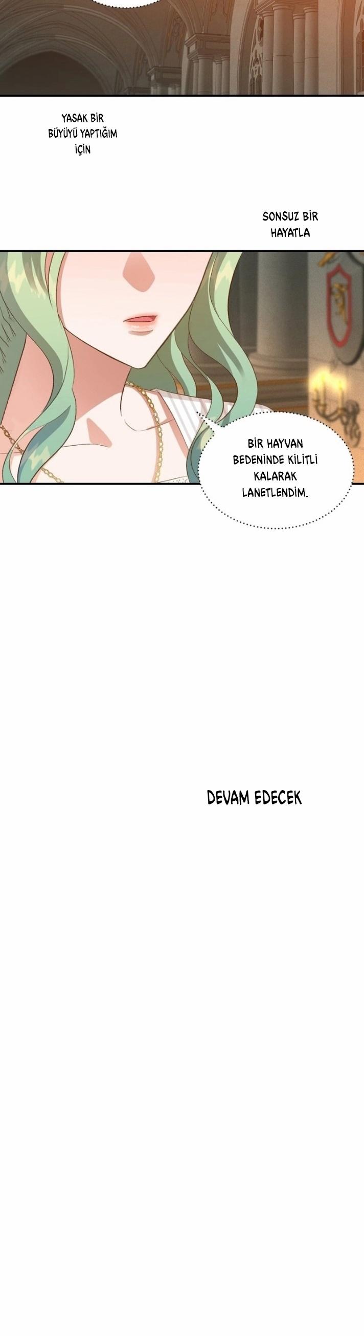 39-cm2xdfr0s0001tt82570od8ls