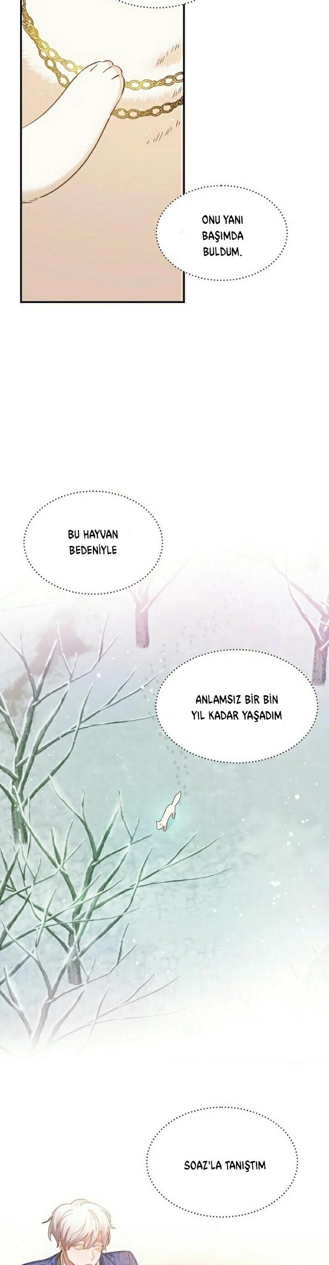 3-cm2xdfr0s0001tt82570od8ls
