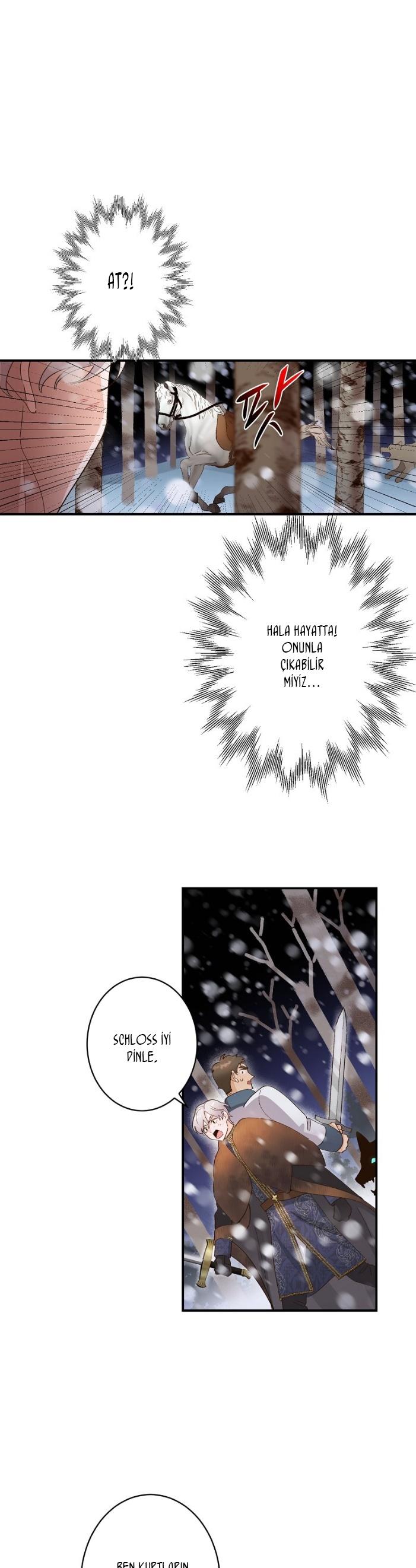 19-cm2xdfr0s0001tt82570od8ls