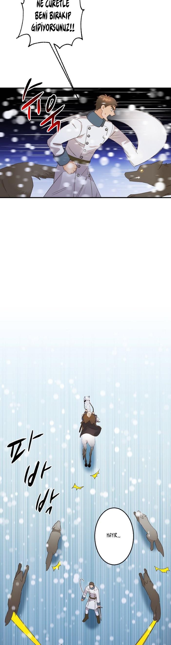 25-cm2xdfr0s0001tt82570od8ls