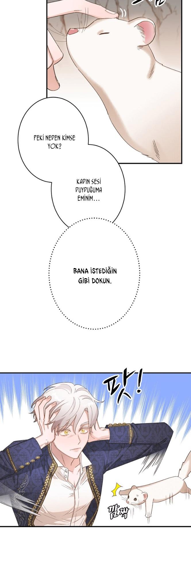 10-cm2xdfr0s0001tt82570od8ls