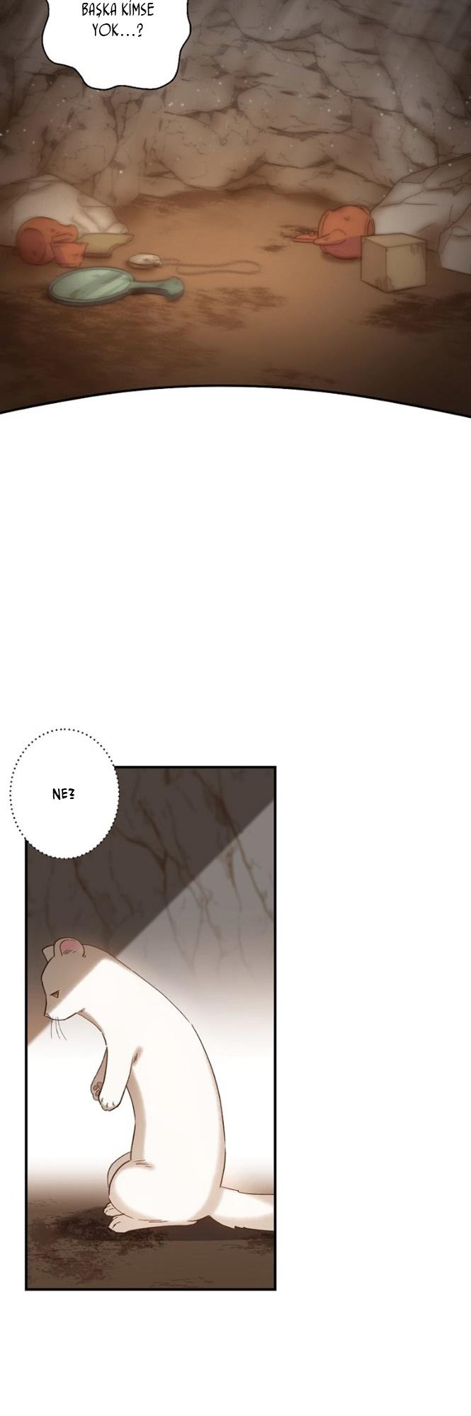 12-cm2xdfr0s0001tt82570od8ls