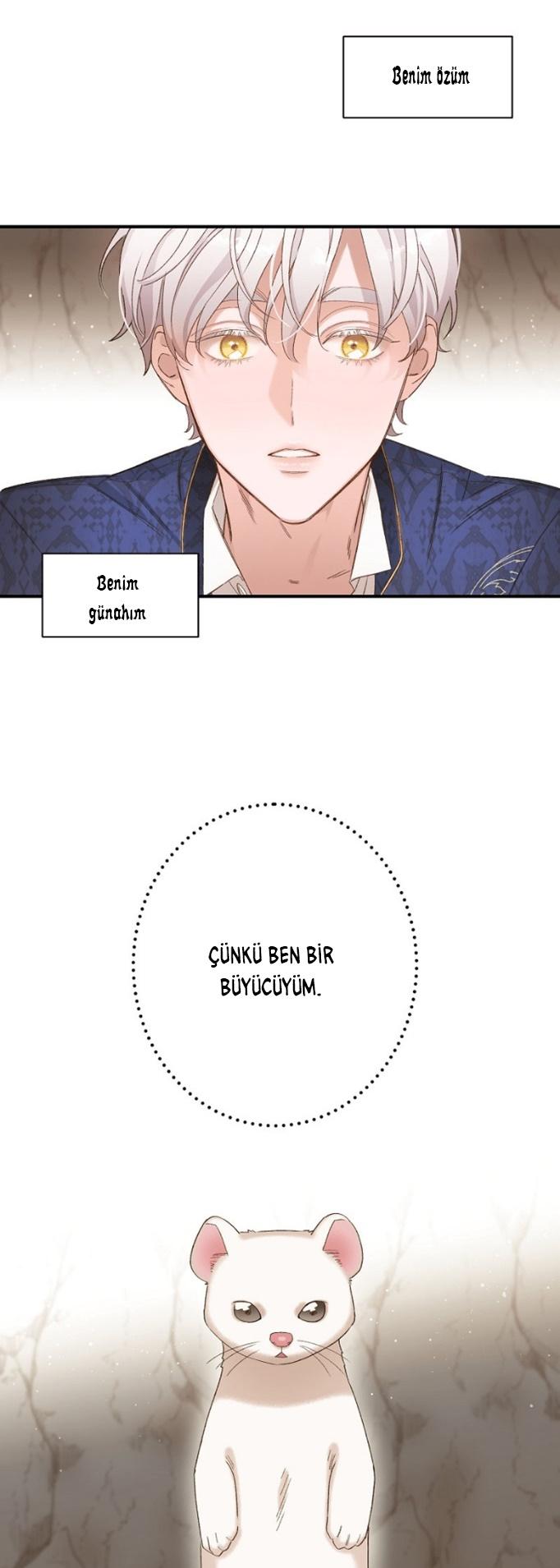 25-cm2xdfr0s0001tt82570od8ls