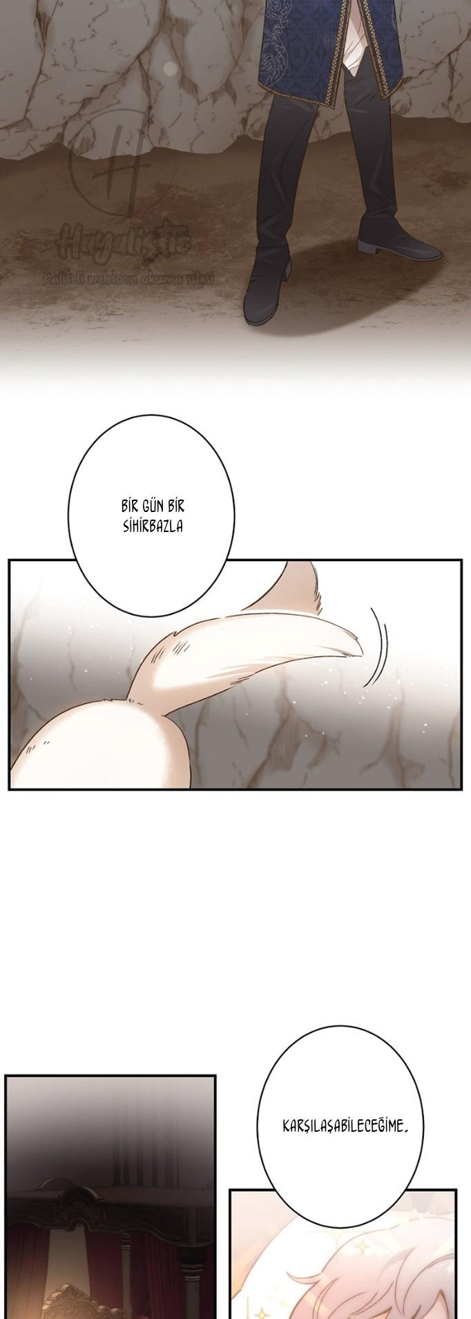 33-cm2xdfr0s0001tt82570od8ls