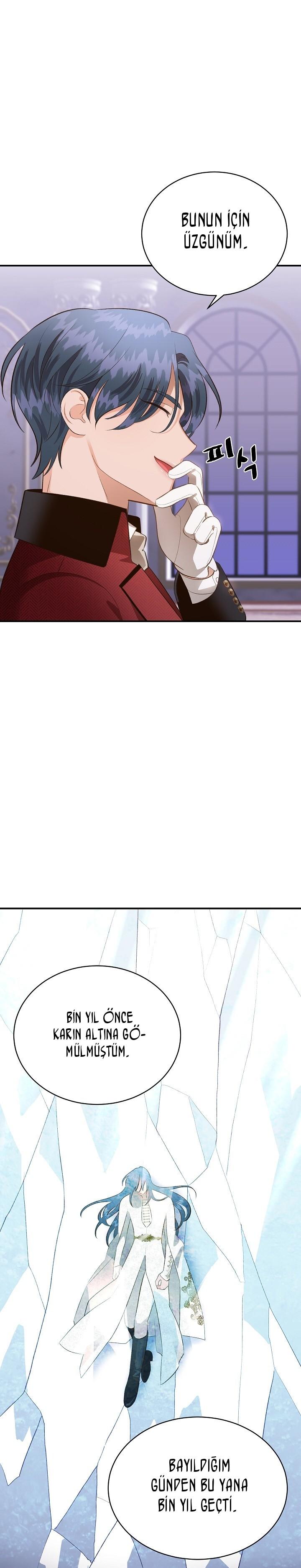 4-cm2xdfr0s0001tt82570od8ls