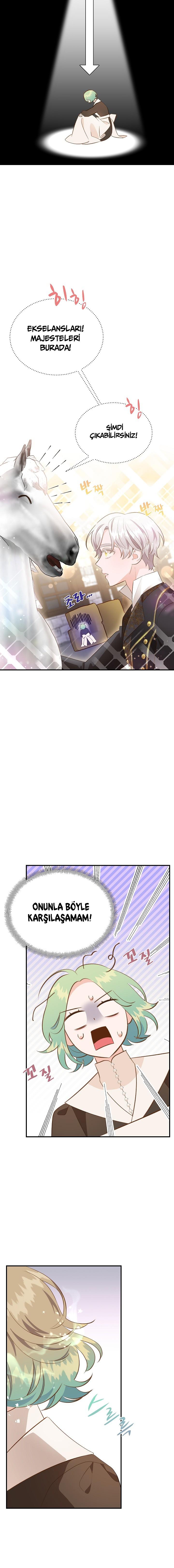 13-cm2xdfr0s0001tt82570od8ls