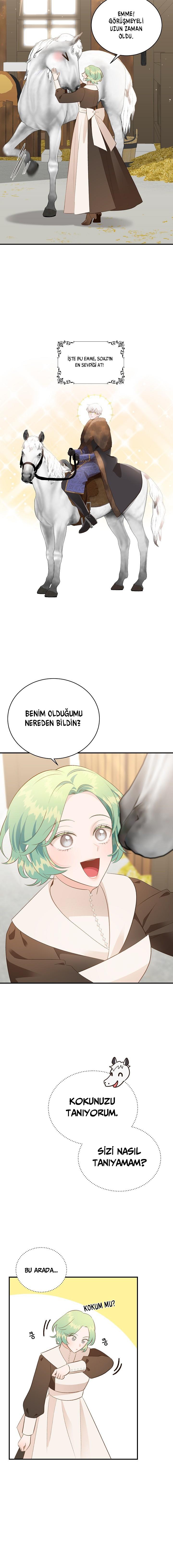 3-cm2xdfr0s0001tt82570od8ls