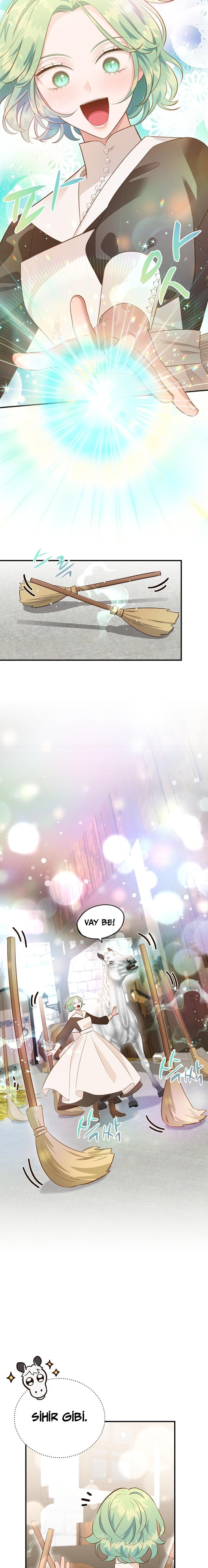 6-cm2xdfr0s0001tt82570od8ls