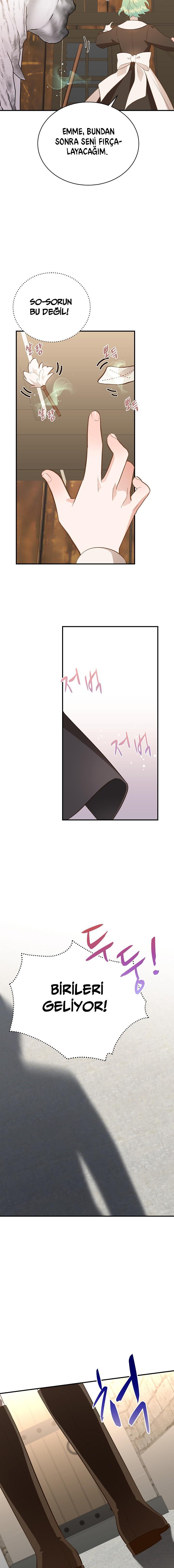 8-cm2xdfr0s0001tt82570od8ls