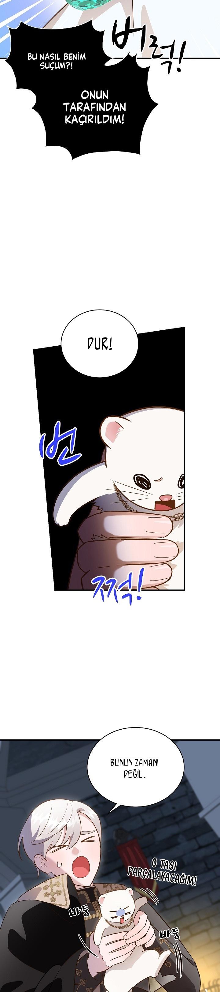 11-cm2xdfr0s0001tt82570od8ls