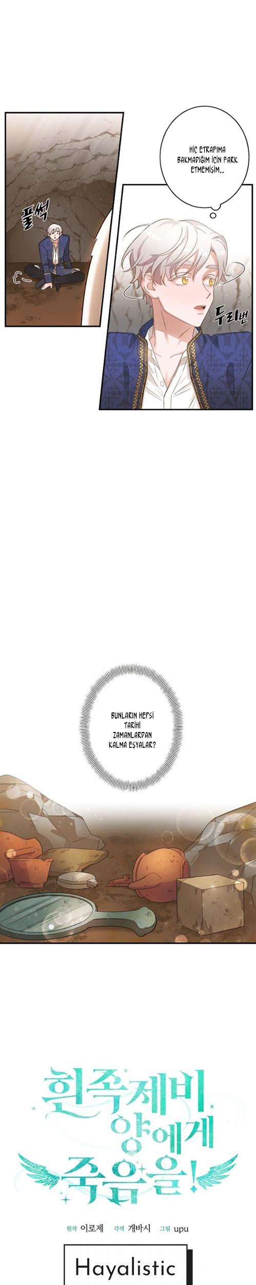 5-cm2xdfr0s0001tt82570od8ls