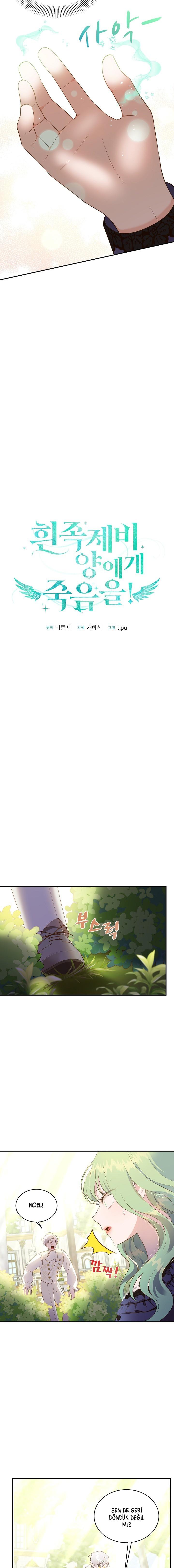 5-cm2xdfr0s0001tt82570od8ls