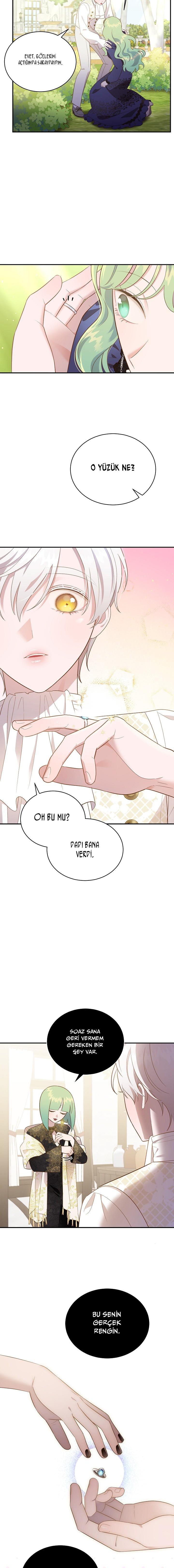 6-cm2xdfr0s0001tt82570od8ls