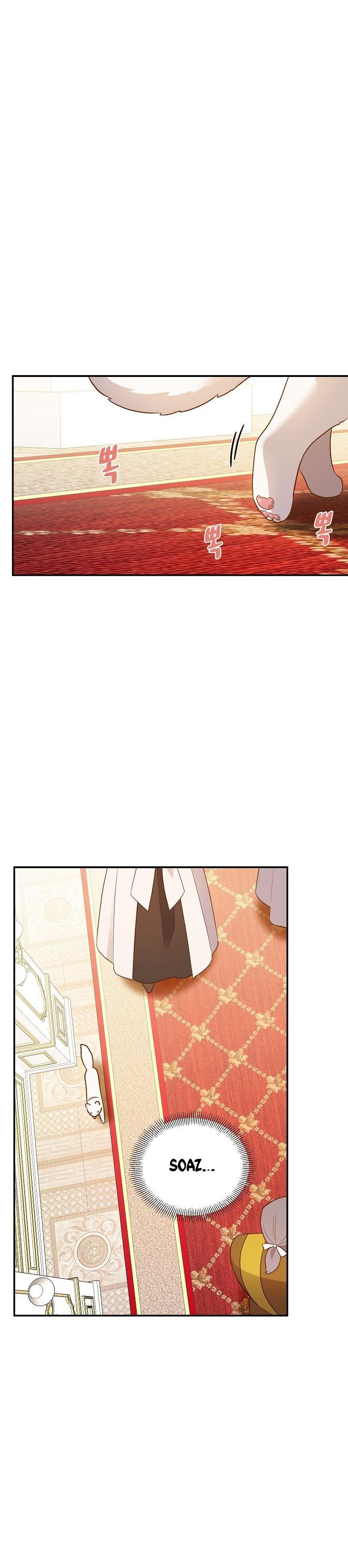 20-cm2xdfr0s0001tt82570od8ls