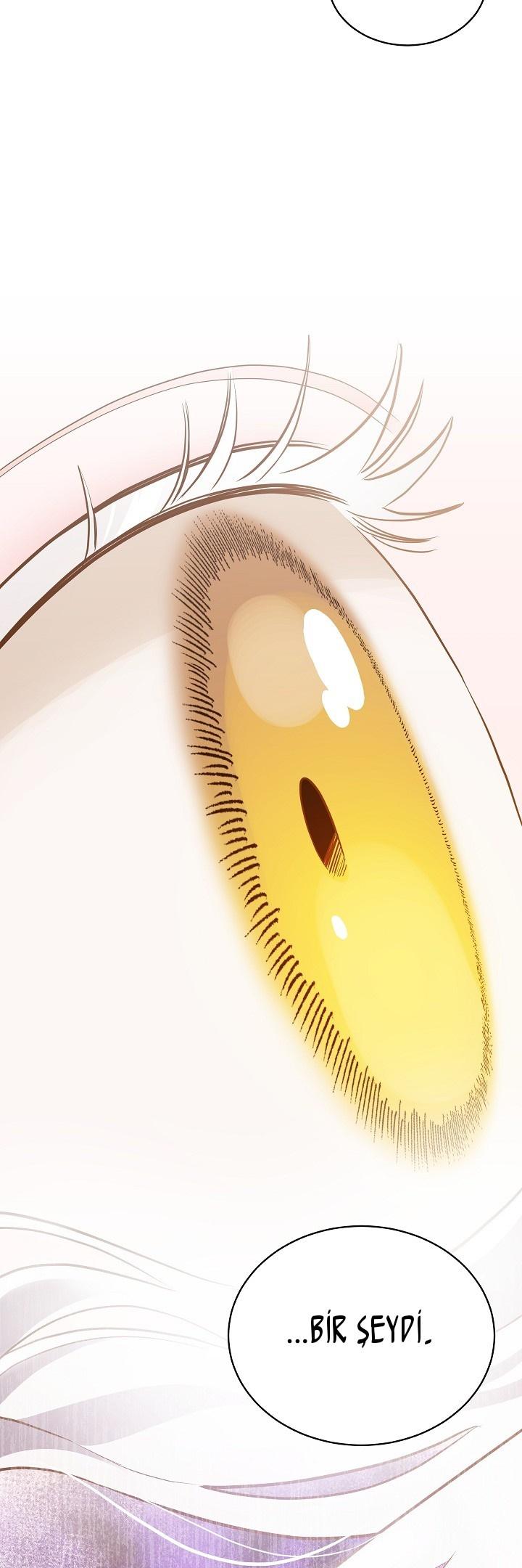 37-cm2xdfr0s0001tt82570od8ls