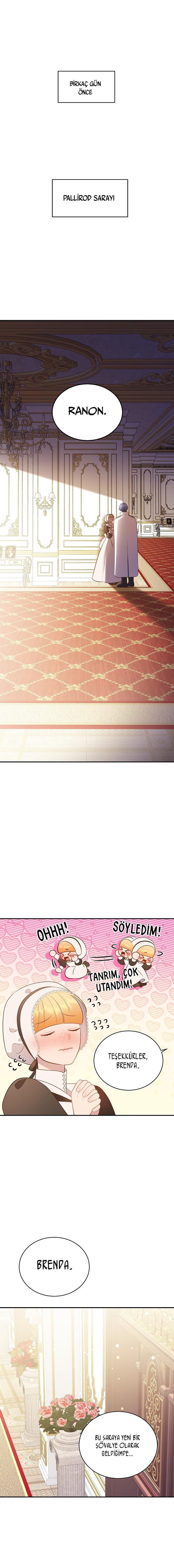 3-cm2xdfr0s0001tt82570od8ls