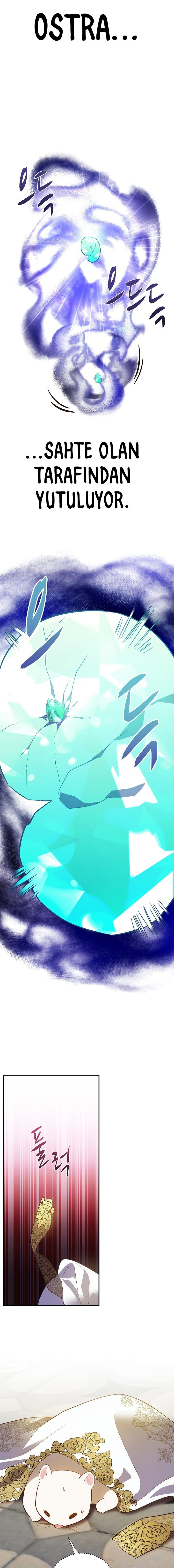 12-cm2xdfr0s0001tt82570od8ls