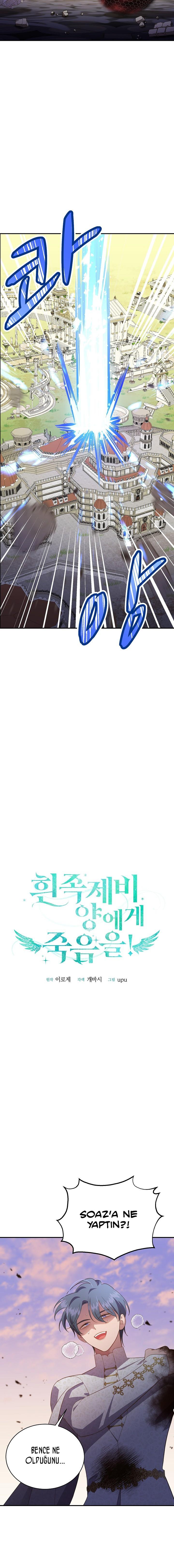 5-cm2xdfr0s0001tt82570od8ls