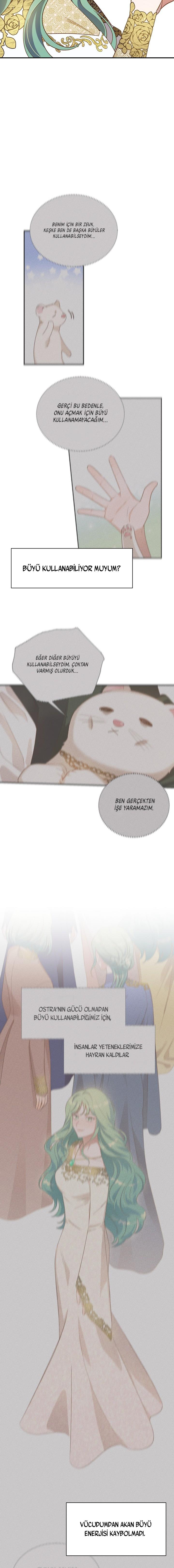 18-cm2xdfr0s0001tt82570od8ls